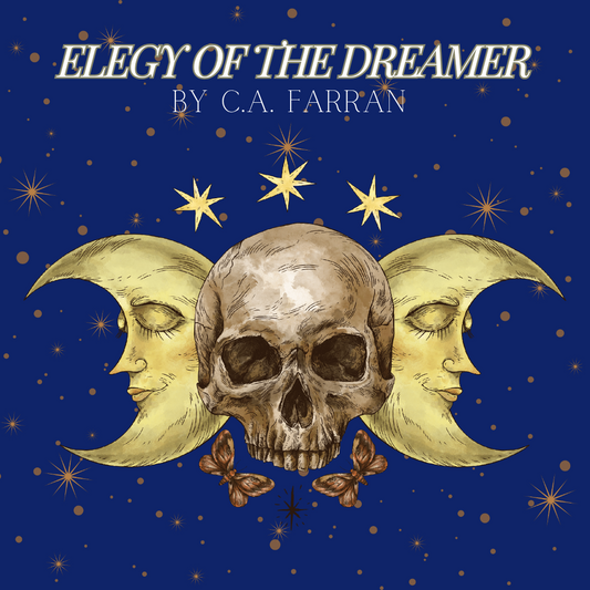 Elegy of The Dreamer